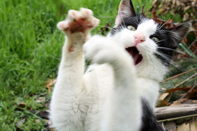 中国女篮强化抢断训练提升转换速度，中国女篮怎样