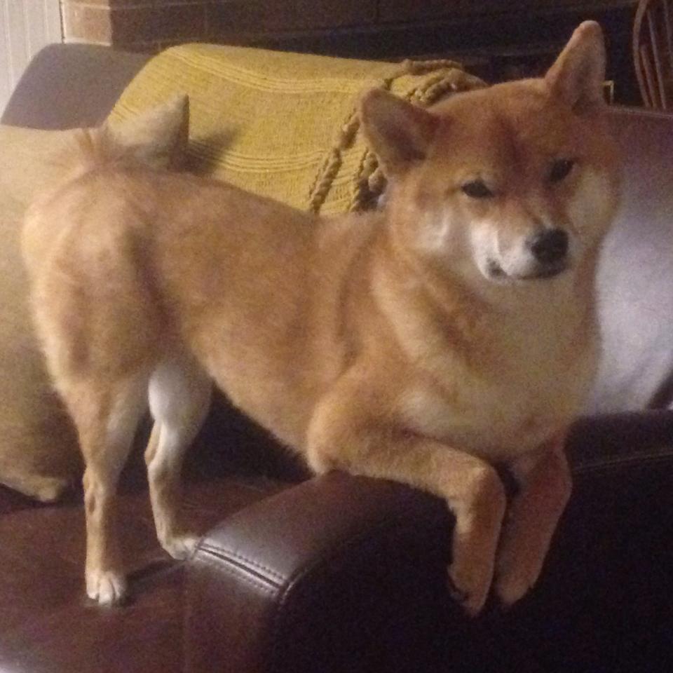 开云体育在线赛事直播-五大联赛新贵球队是否更依赖边路快攻破局，五大联赛新贵球队是否更依赖边路快攻破局了