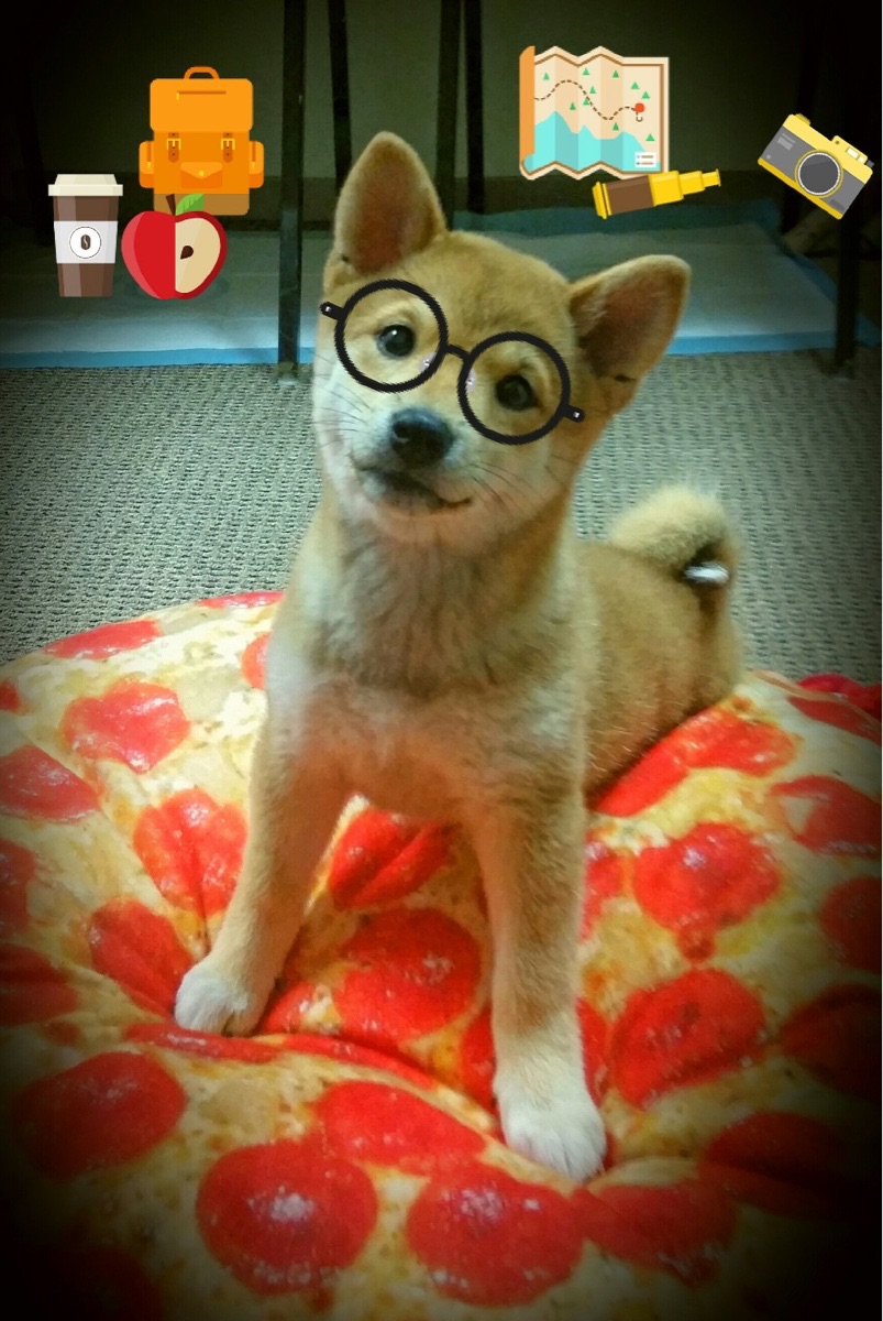 开云体育官方下载-俱乐部忽视战术延续性影响阵容稳定