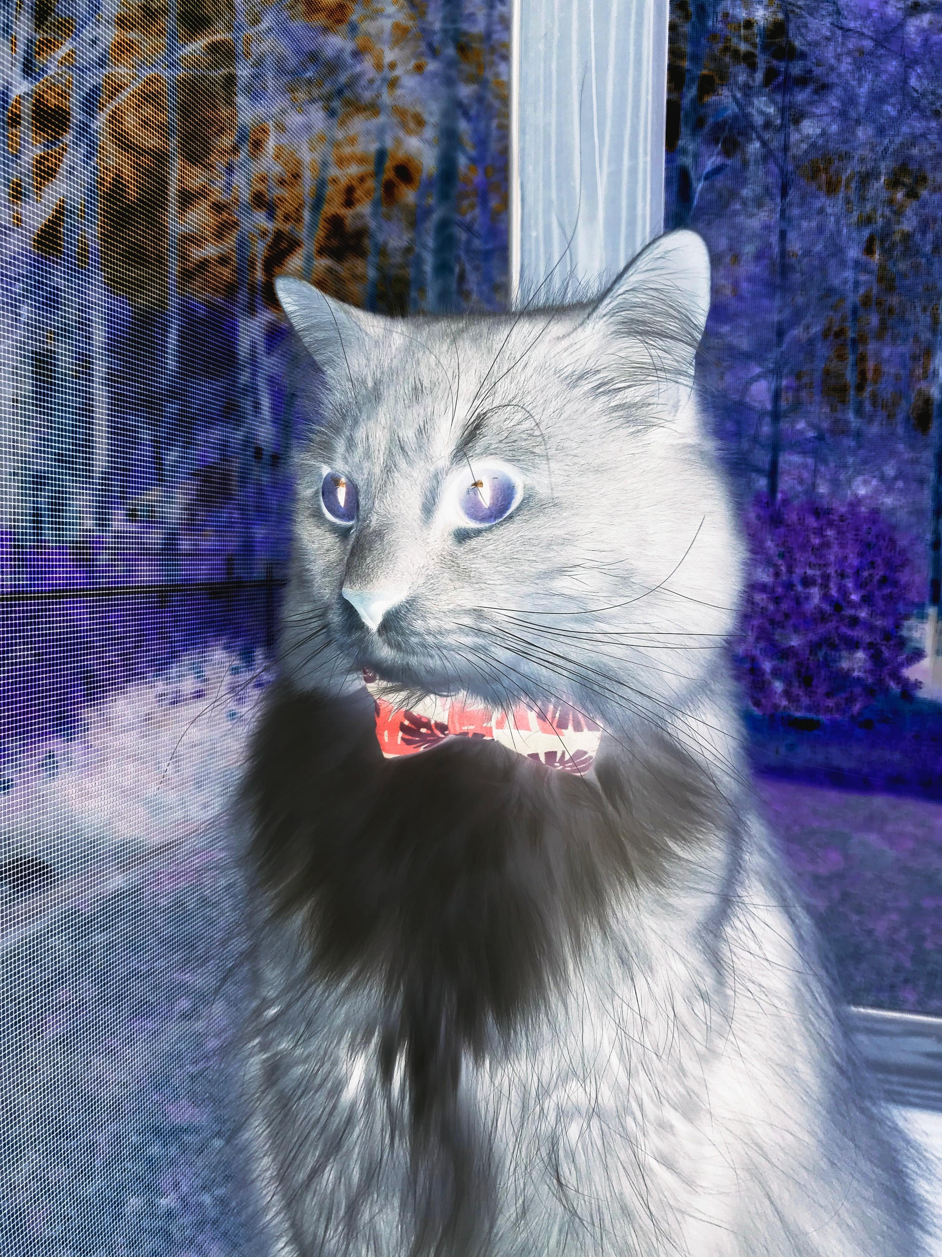 俱乐部忽视战术延续性影响阵容稳定