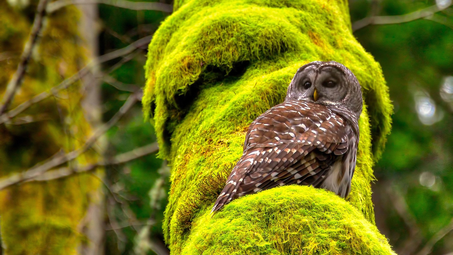 利物浦保持三线联动提升团队效率，利物浦3-2