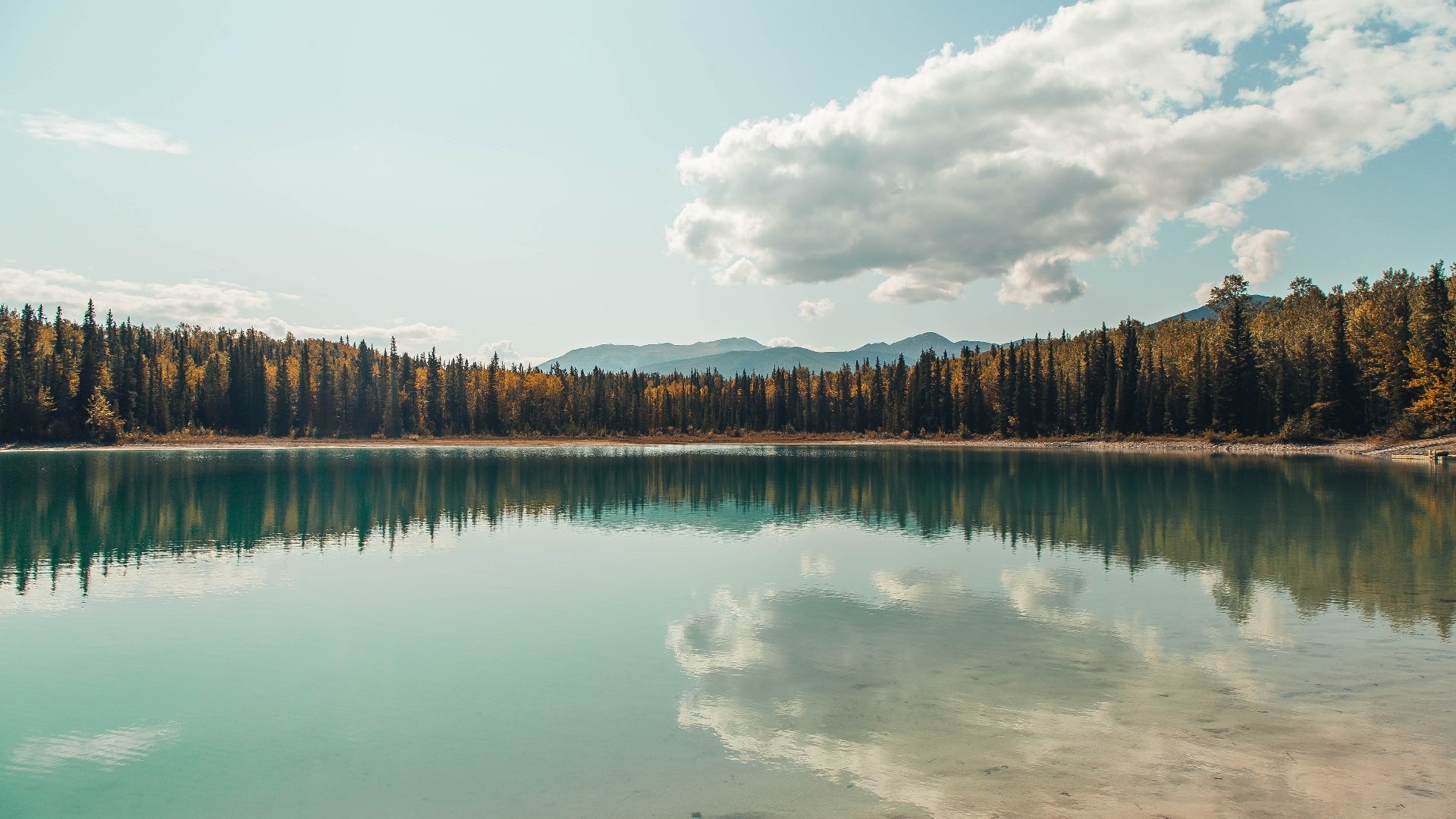 kaiyun官方入口登录-女篮世界杯中国队强势晋级四强，女篮世界杯中国队成绩