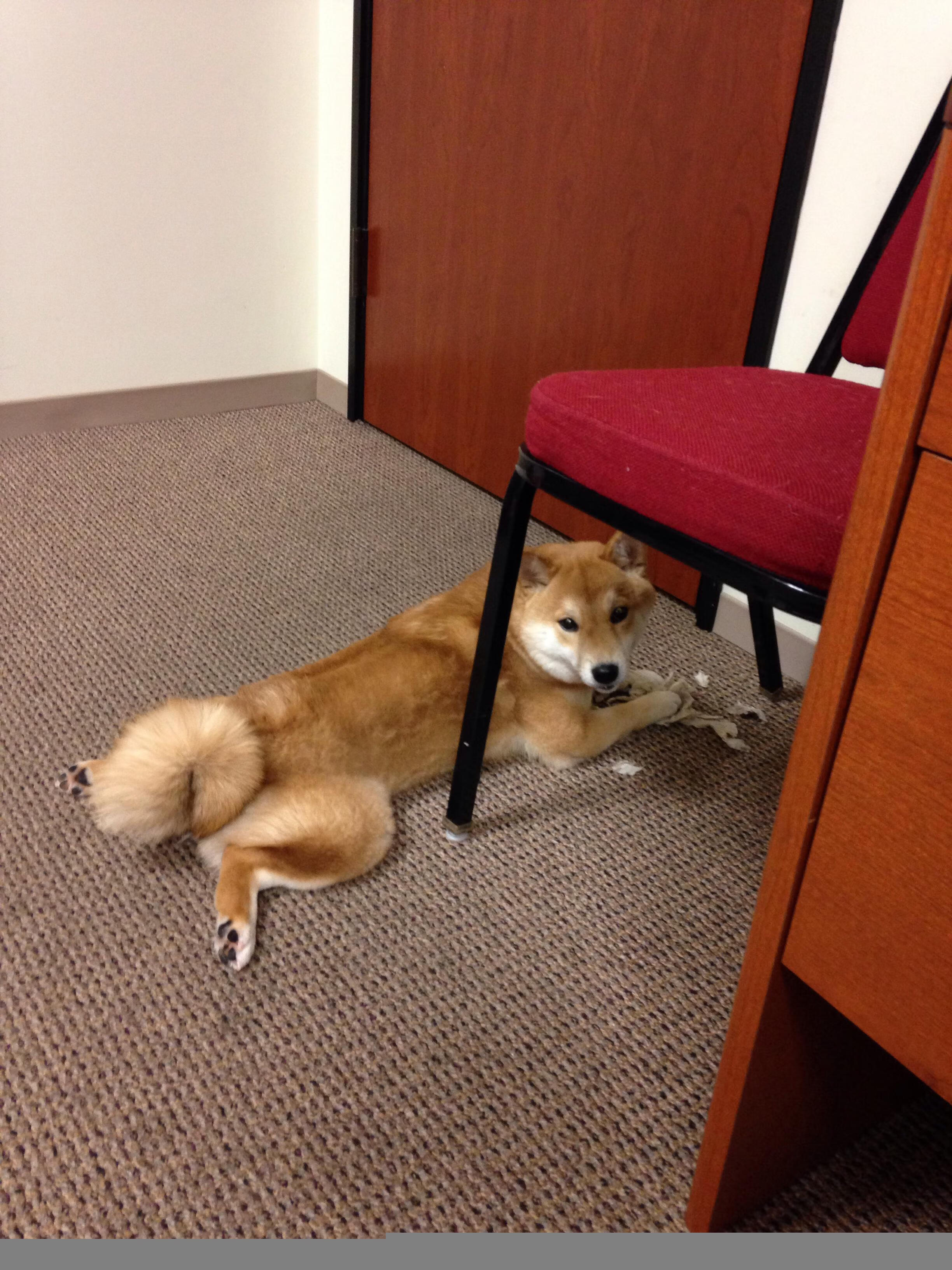 马拉松赛事设置人脸识别签到通道提升效率,上海马拉松人脸识别