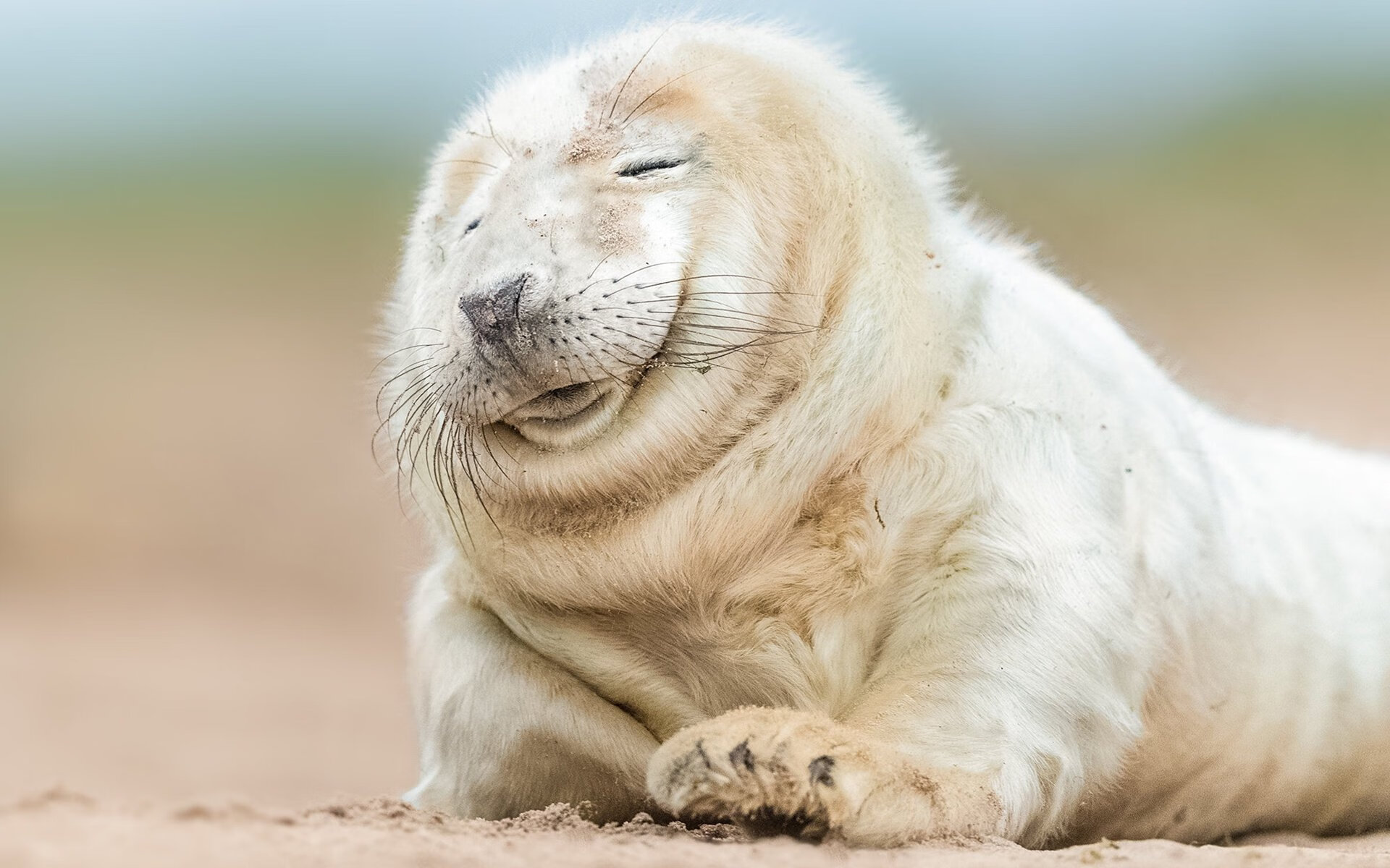 世界杯逆袭之路：奋斗的每一步都熠熠生辉，世界杯逆转奇迹